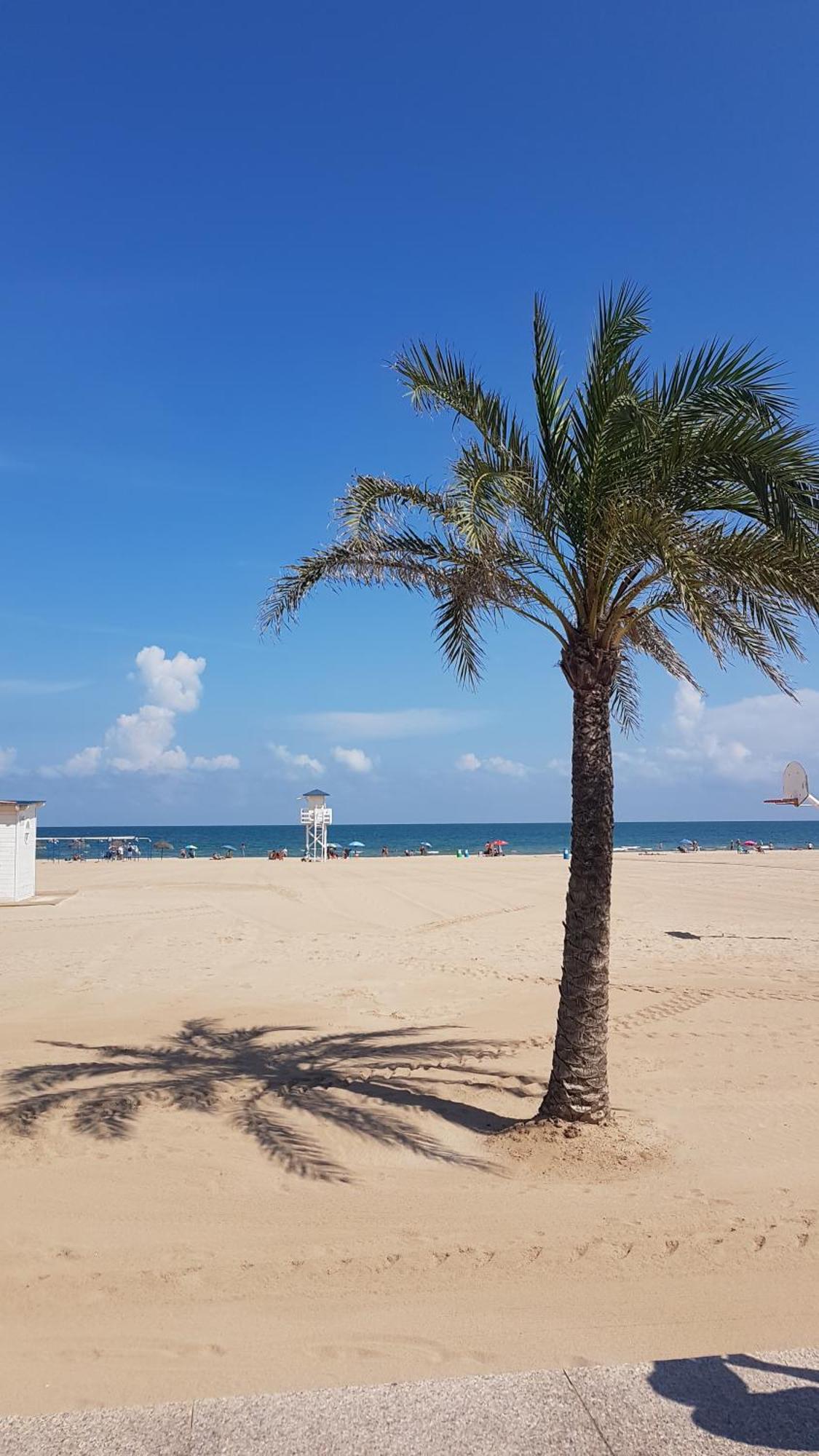 Hola Gandia Apartman Kültér fotó